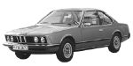 BMW E24 P1445 Fault Code