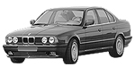 BMW E34 P1445 Fault Code